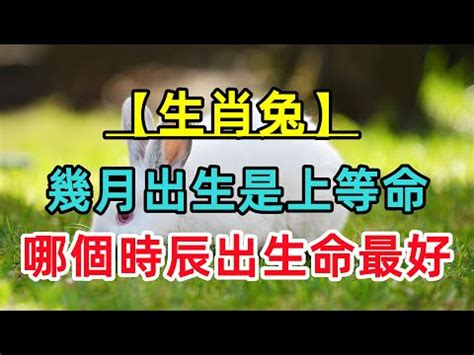 月份顏色|生日月色彩大公開